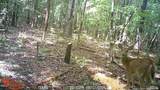 0 J Dowdy Road - Photo 19