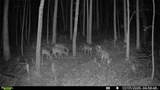 0 J Dowdy Road - Photo 20