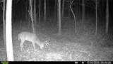 0 J Dowdy Road - Photo 21
