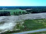 TBD Cowpen Swamp Road - Photo 1