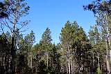  Nc Hwy 130 Highway - Photo 3