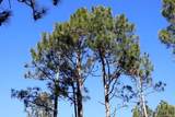  Nc Hwy 130 Highway - Photo 12