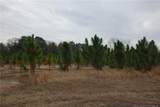 Lot 41 Stuarts Mill Road - Photo 1