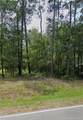 TBD Blues Farm (Lot 2) Road - Photo 1