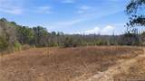LOT B 1600 Mt. Willing Road - Photo 6