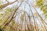 2028 Long Point Trail - Photo 8