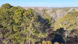 2027 Long Point Trail - Photo 4
