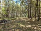 5354 Muscat Road - Photo 12