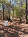  Clark Road - Photo 15