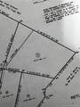 Lot 9 Buie Philadelphus Road - Photo 1