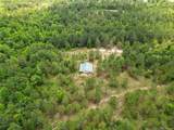  Nighthawk Loop - Photo 9