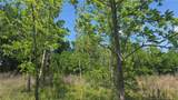 1634 Sweetie Road - Photo 14