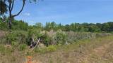 1634 Sweetie Road - Photo 15