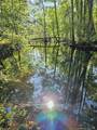52 Acres River Access - Photo 11