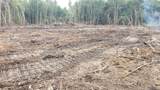 52 Acres River Access - Photo 13