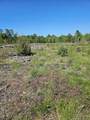 52 Acres River Access - Photo 14