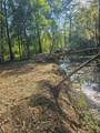 52 Acres River Access - Photo 18