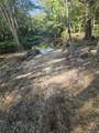 52 Acres River Access - Photo 19