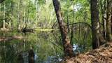 52 Acres River Access - Photo 7