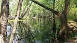 52 Acres River Access - Photo 8