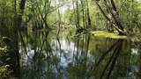 52 Acres River Access - Photo 9