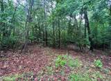 tbd Buggy Drive - Photo 13