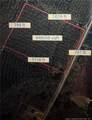  Mcbryde Street - Photo 5
