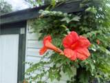 112 Wright Street - Photo 8