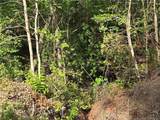 TBD Cabins Creek Road - Photo 3