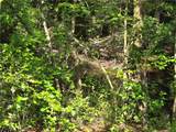 TBD Cabins Creek Road - Photo 5