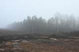 1080 Lickskillet Road - Photo 6