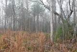 1080 Lickskillet Road - Photo 7