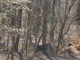 0 Broad Road - Photo 1