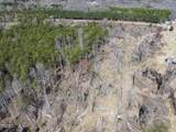 Lot 6 00 Goodman Road - Photo 25