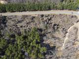 Lot 6 00 Goodman Road - Photo 8