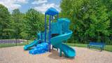 812 Canis Minor Road - Photo 25