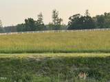 18.5 Acres Olin Road - Photo 8