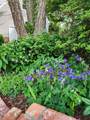 501 Samara Street - Photo 37