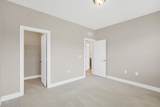 1740 Golden Honey Drive - Photo 38