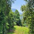 1080 Kudzu Lane - Photo 4