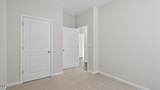 549 Lemon Daisy Lane - Photo 19