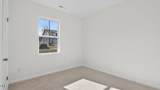 557 Lemon Daisy Lane - Photo 18