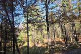 6229 Horse Fly Trail - Photo 19