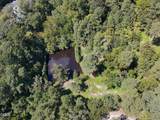 6229 Horse Fly Trail - Photo 4