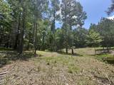 6229 Horse Fly Trail - Photo 8