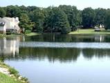 923 Springfork Drive - Photo 34