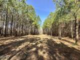 18.2 Acres Range Road - Photo 1