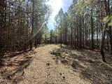 18.2 Acres Range Road - Photo 6