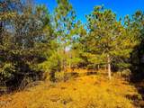 0000 Jesse Smith Road - Photo 19