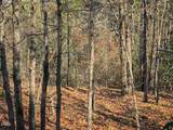 0000 Jesse Smith Road - Photo 29